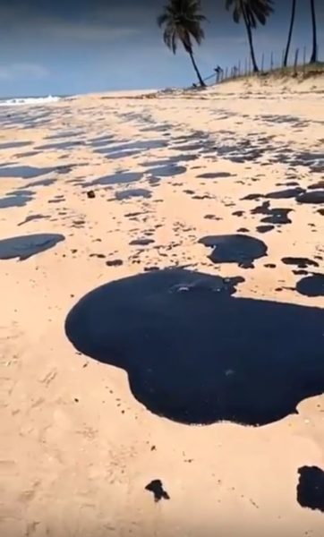 Footprints In The Sand A Mysterious Oil Spill In Brazil Threatens Livelihoods