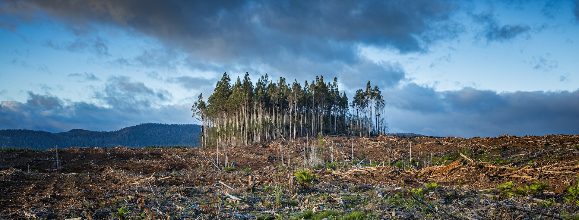 What is climate loss and damage? [2024 update]