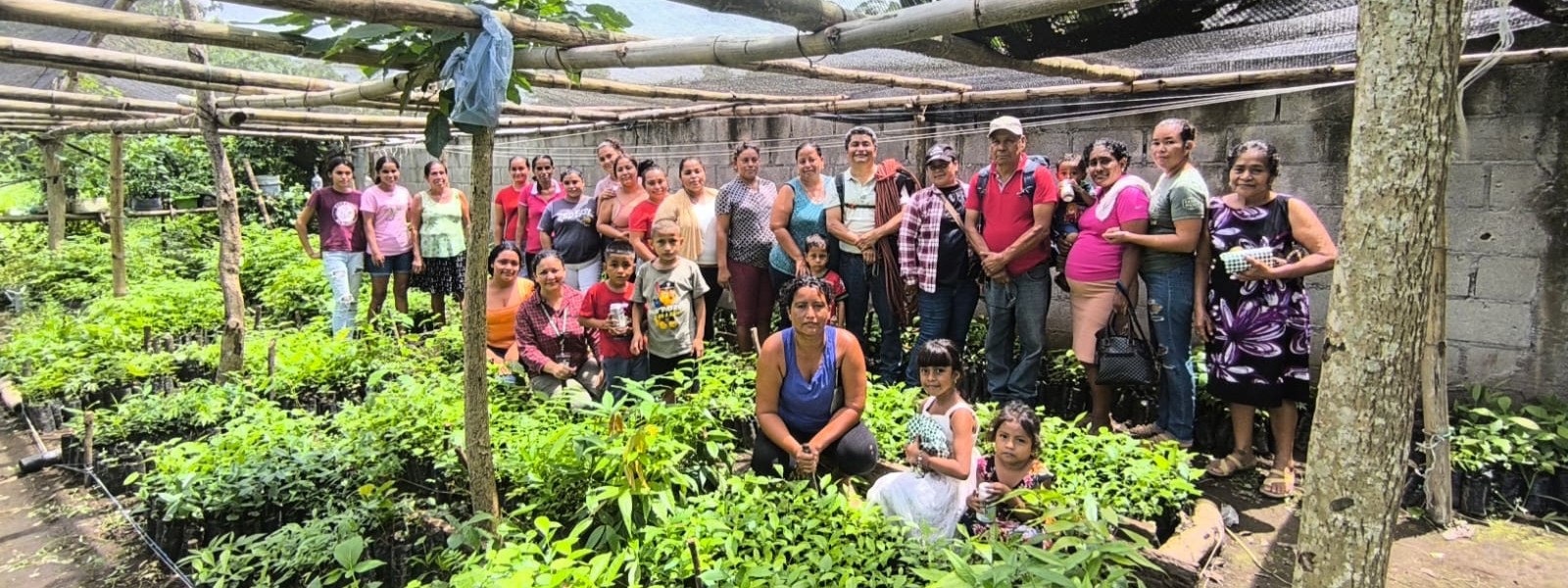For these Guatemalan women, protecting trees means preserving culture