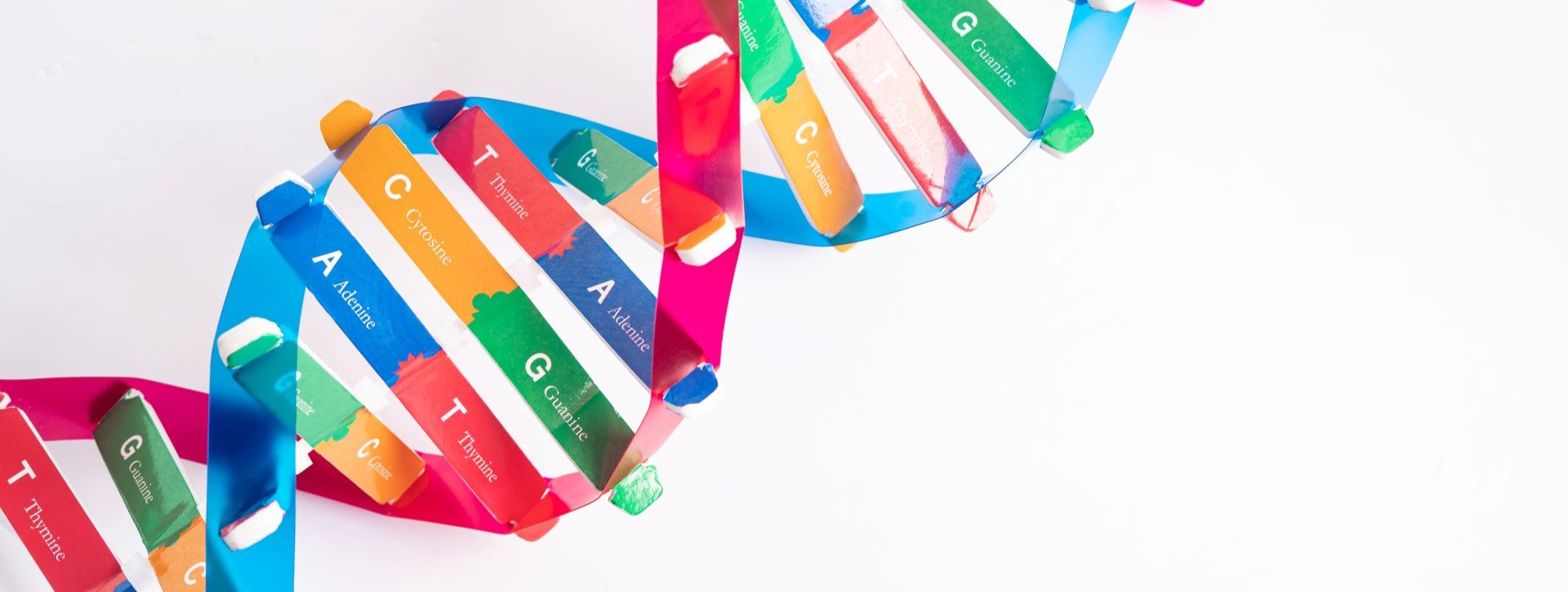 Life as we like it? The boons and burdens of synthetic biology