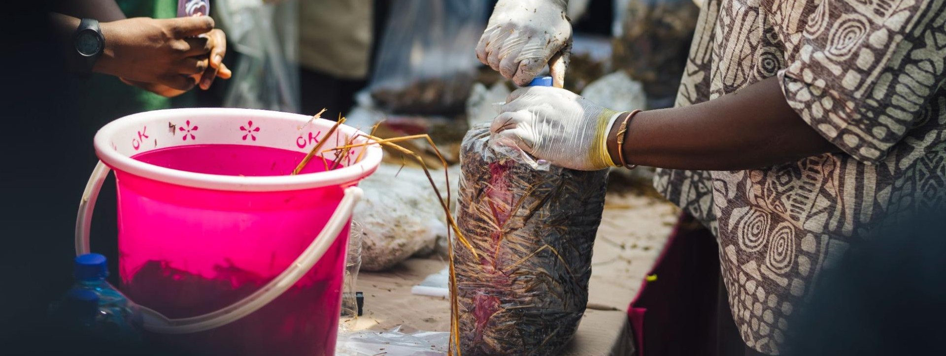 4 youth innovations shaping Africa’s landscapes