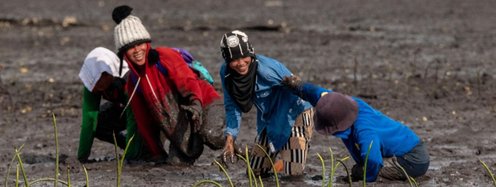 A turning tide: The Mindanao villagers growing mangroves and hope