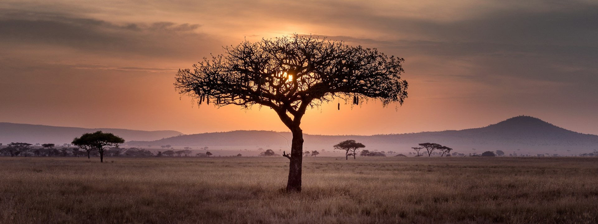 4 ways to protect land rights across Africa