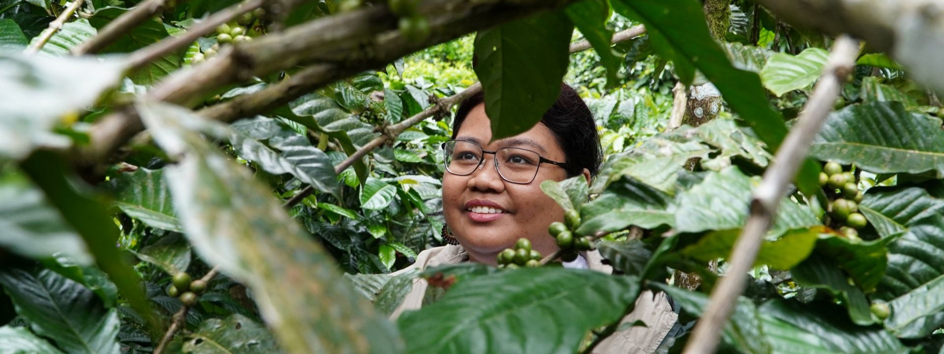 Regenerative, abundant and multicultural: Future visions for Asian landscapes