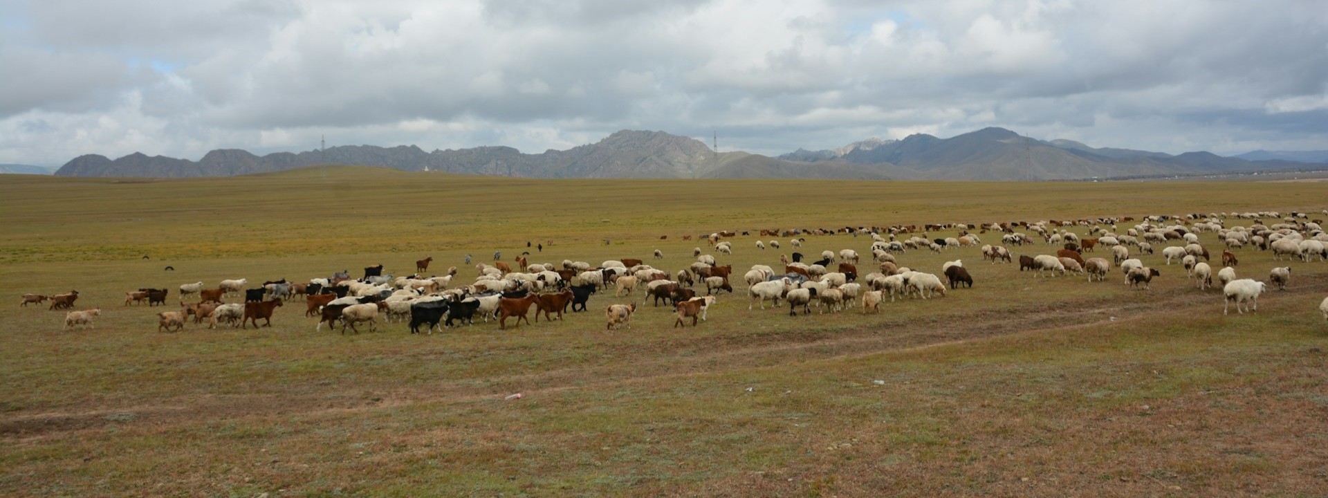 What you should know about rangelands and pastoralism