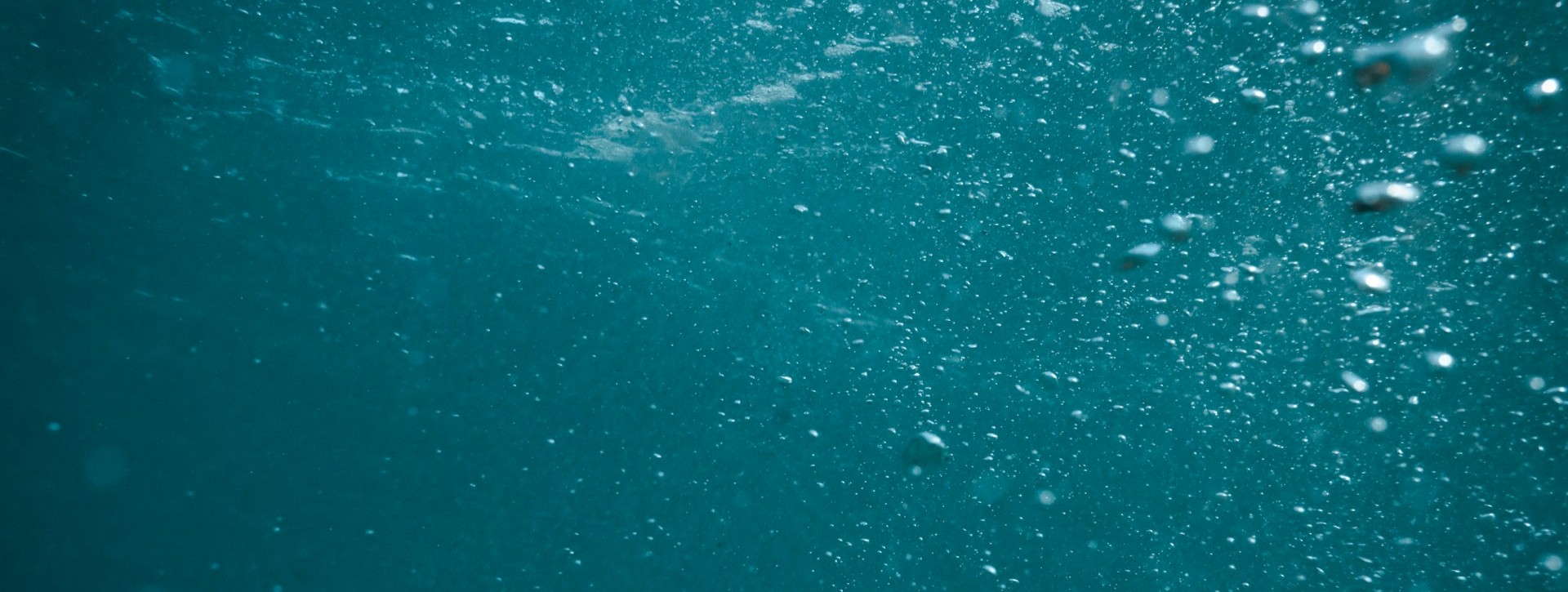 What is the High Seas Treaty?