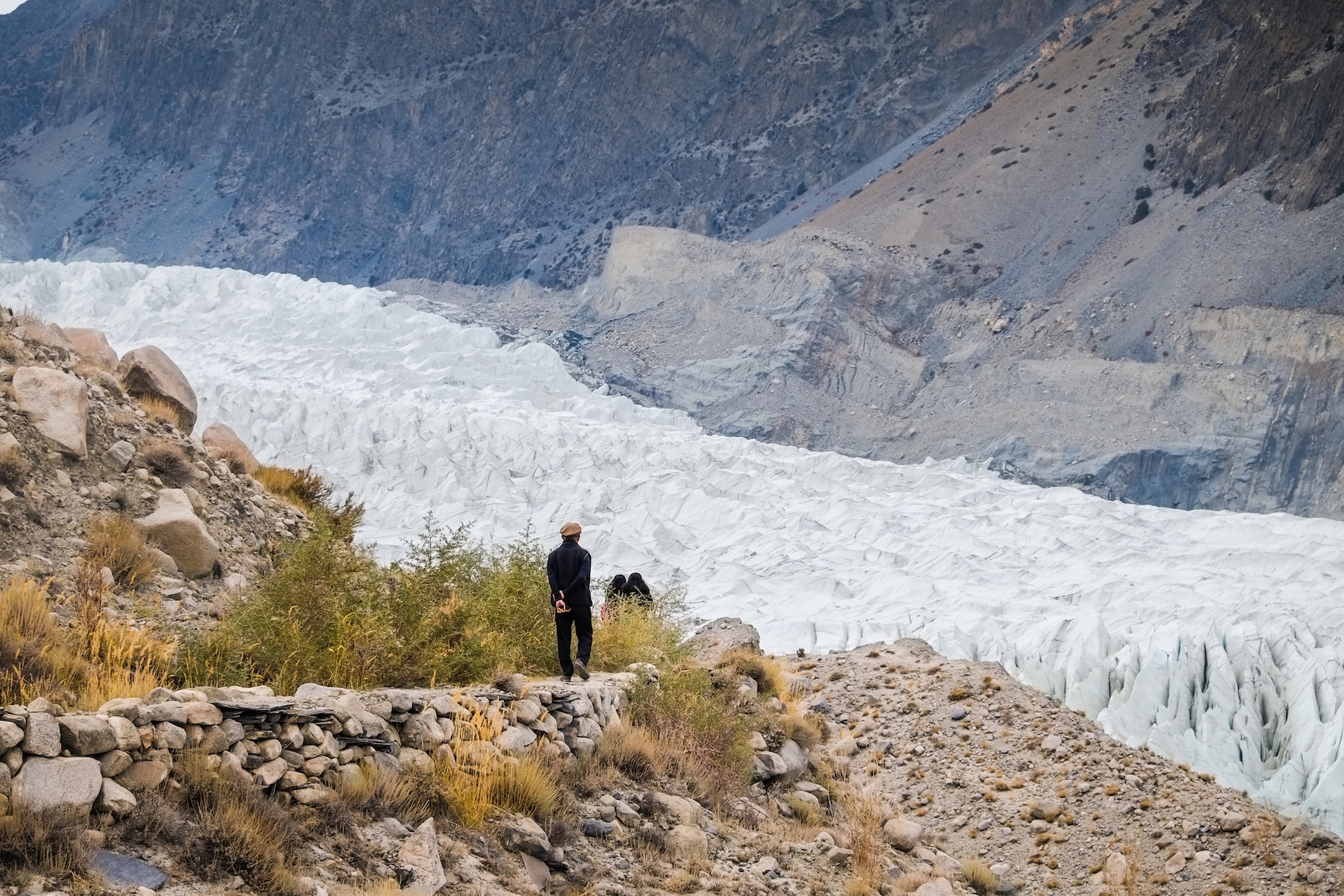 Glacier grafting, microwave meals and the business of extinction