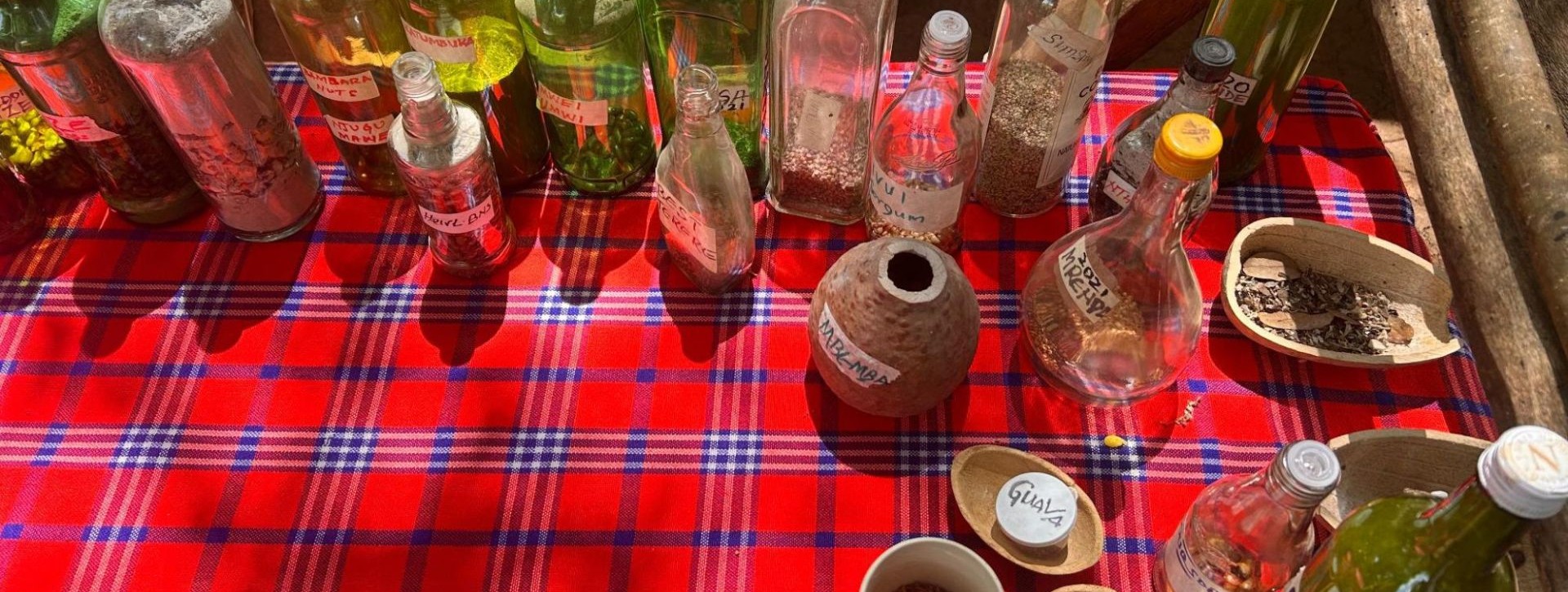 4 ways to grow food in drylands, according to Kenyan farmers